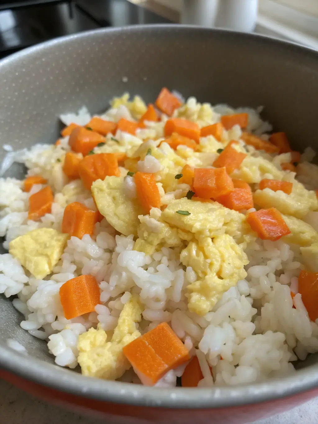 rambled-eggs-with-rice-and-carrots--perfect-for-up